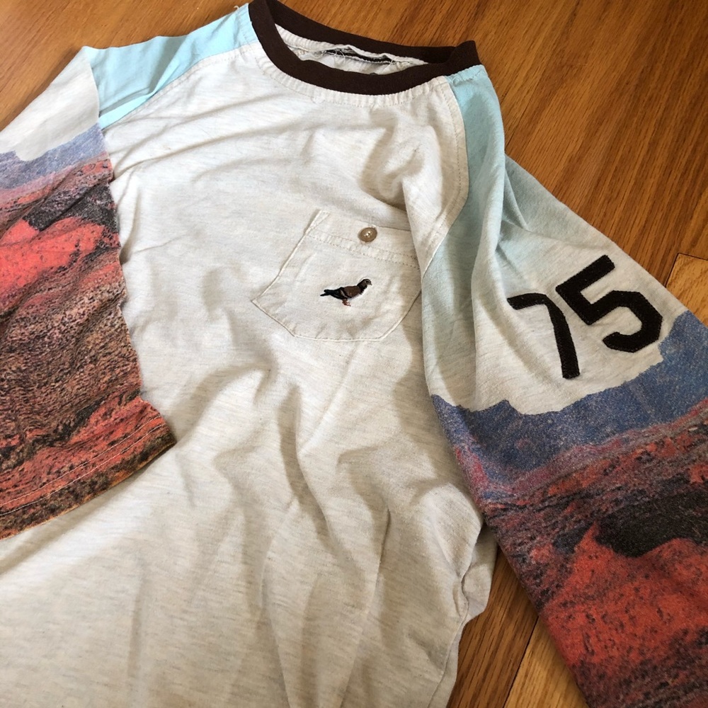 Urban Outfitters Staple Canyon Raglan Shirt